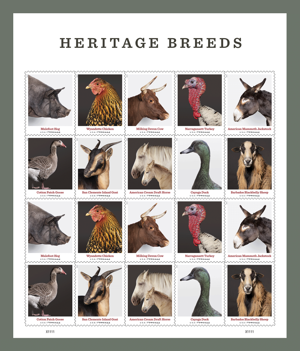 2021 Heritage Breeds Stamps - Forever Stamps