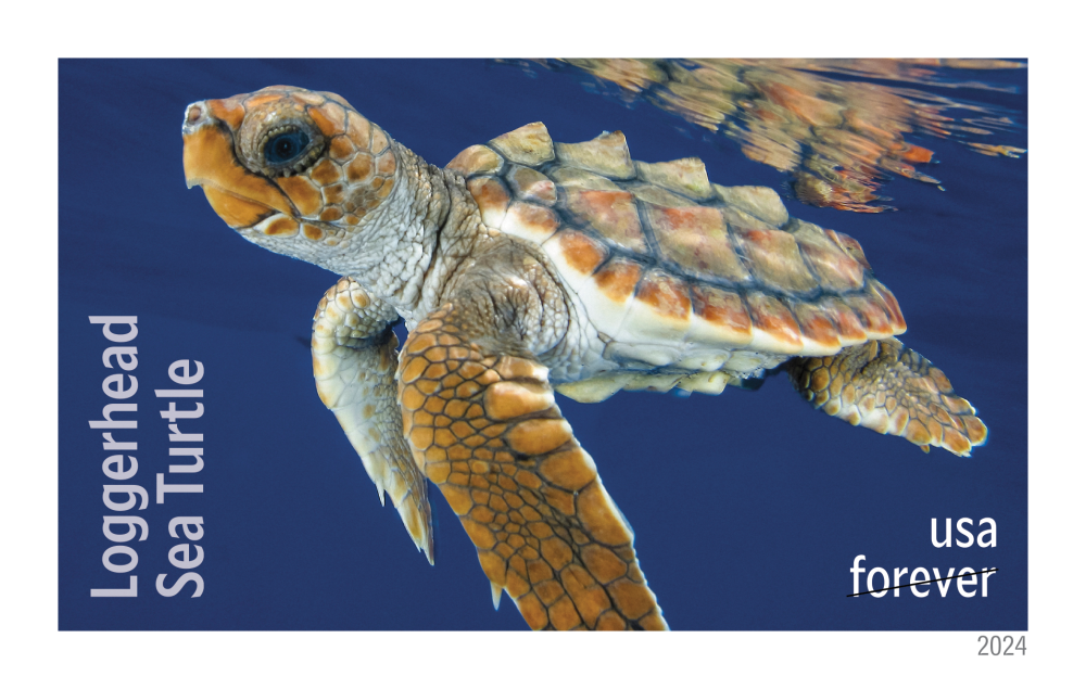 2024 Protect Sea Turtles Stamps - Forever Stamps