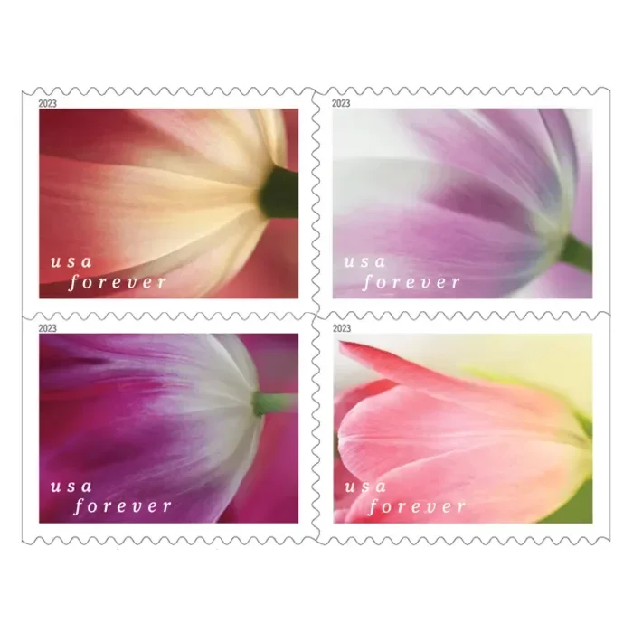 2023 Tulip Blossoms - Forever Stamps