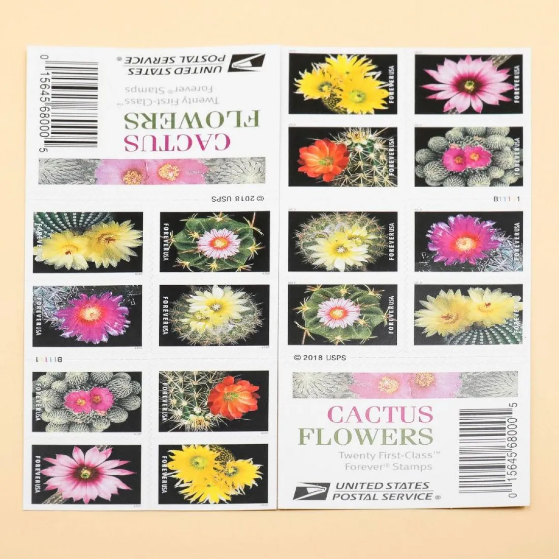2019 Cactus Flowers Forever Stamps - Forever Stamps