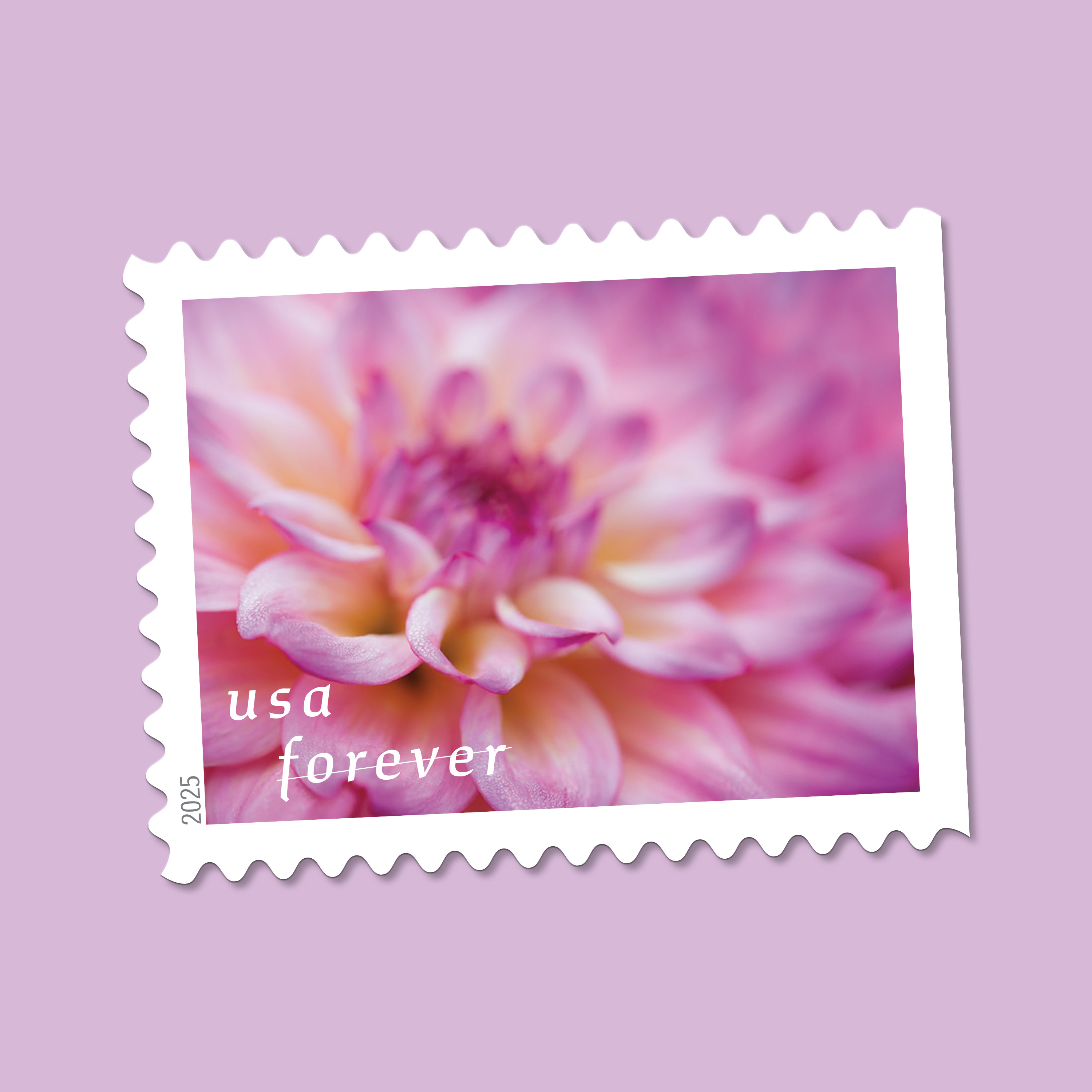 2025 Forever Stamps Dahlias Stamps - Forever Stamps
