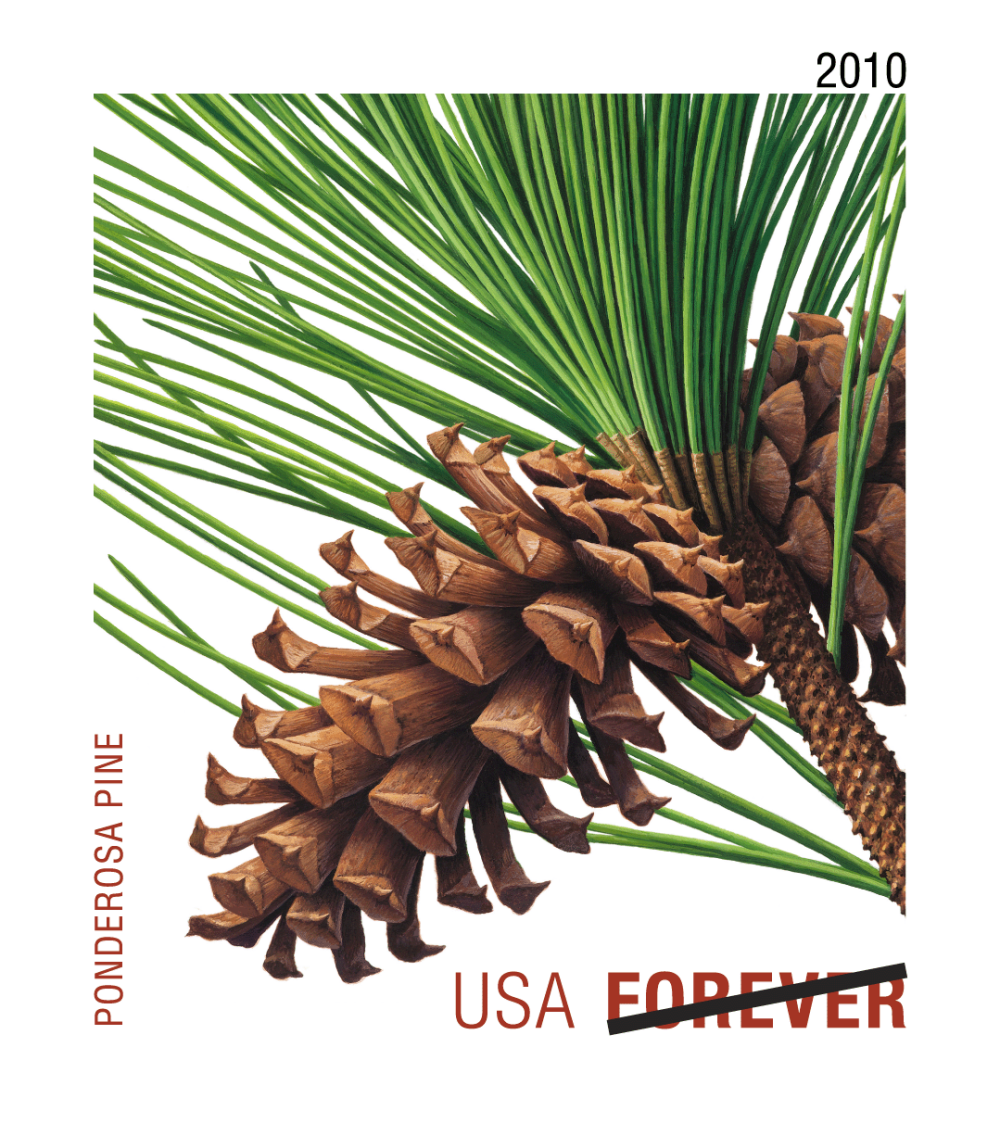 2010 Evergreens Stamps - Forever Stamps